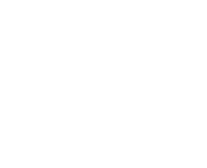 Bright Transparent Glare.  Decoration, Bright Flash